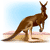 rawkinkangaroo's avatar