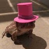 Raze-Da-Frog's avatar