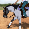rbrperformancehorses's avatar