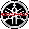RD500YPVS's avatar