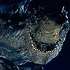 RealGodzilla1998YT's avatar