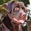 realifecraft's avatar