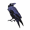 ReaperLuni's avatar