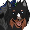 RebelleValor's avatar