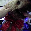 reccaXD's avatar