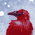 red-crow's avatar