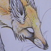 red-fox357's avatar