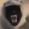 Redforce059's avatar