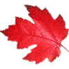 RedfulLeaf's avatar