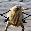 RedRyeC's avatar