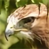 Redtailed4295's avatar