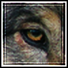 redwallbadger's avatar