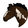 Renegade-Ranch's avatar
