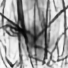 Rephin's avatar