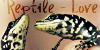Reptile-Love's avatar