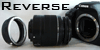 Reverse-Lens-Macro's avatar