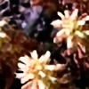 revienne's avatar