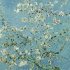 rice-flowers's avatar
