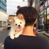 RichardLvv's avatar