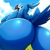 RioBluBird's avatar