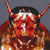 RoachMaster7's avatar
