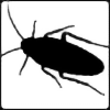 Roachy1's avatar