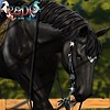 roananddappleranch's avatar