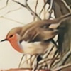 robin-blackthorn's avatar