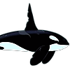 Robloxboy161718's avatar