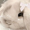 Rockrosebloom13's avatar