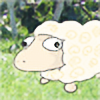 rocksheep's avatar