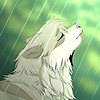 RorokyKyroi's avatar