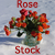 rose-stock's avatar