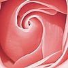 Roseaic's avatar