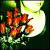 rosepetaltea's avatar