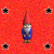 rosepetaltragedy's avatar