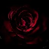 rosered57's avatar