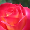 Roses-For-Amy's avatar