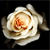 RosesandOpium's avatar