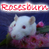 rosesburn's avatar