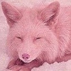 rosethecoolwolf13's avatar