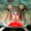roseylippedbatfish's avatar