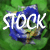 rowaneagle-stock's avatar