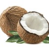 Royal-Coconut's avatar