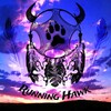 RunningHawk-1994's avatar