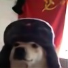 RussianDoggo's avatar