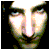 ruyjr's avatar