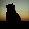 Ruzana1998's avatar