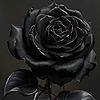 RXP-HR's avatar