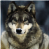Ryan-the-wolf's avatar